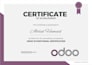 odoo accounting setup, bookkeeping and financial reporting training
